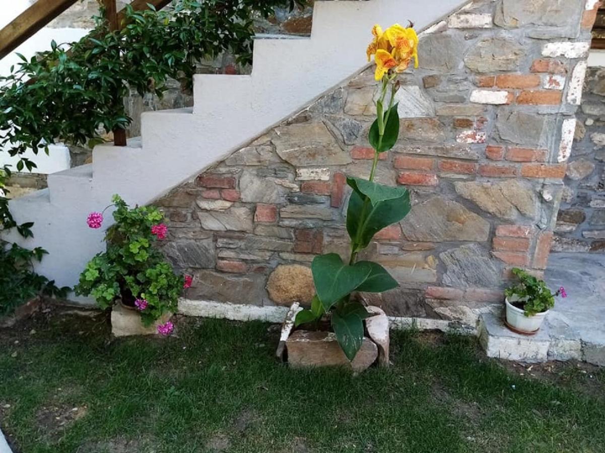 Petrino1880 Sea-Vacation Apartment In Chalkidiki อาโยส นิโกลาออส ภายนอก รูปภาพ