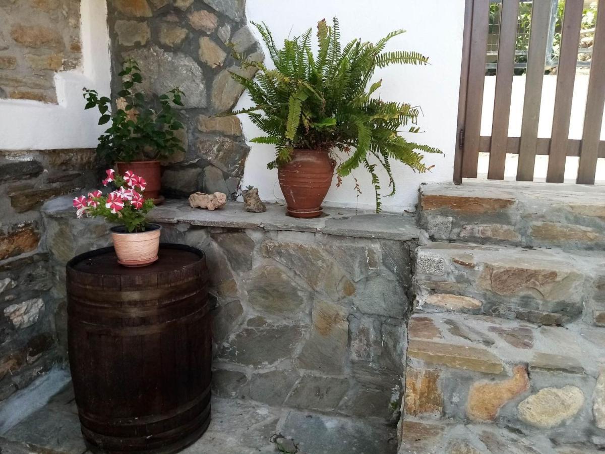 Petrino1880 Sea-Vacation Apartment In Chalkidiki อาโยส นิโกลาออส ภายนอก รูปภาพ