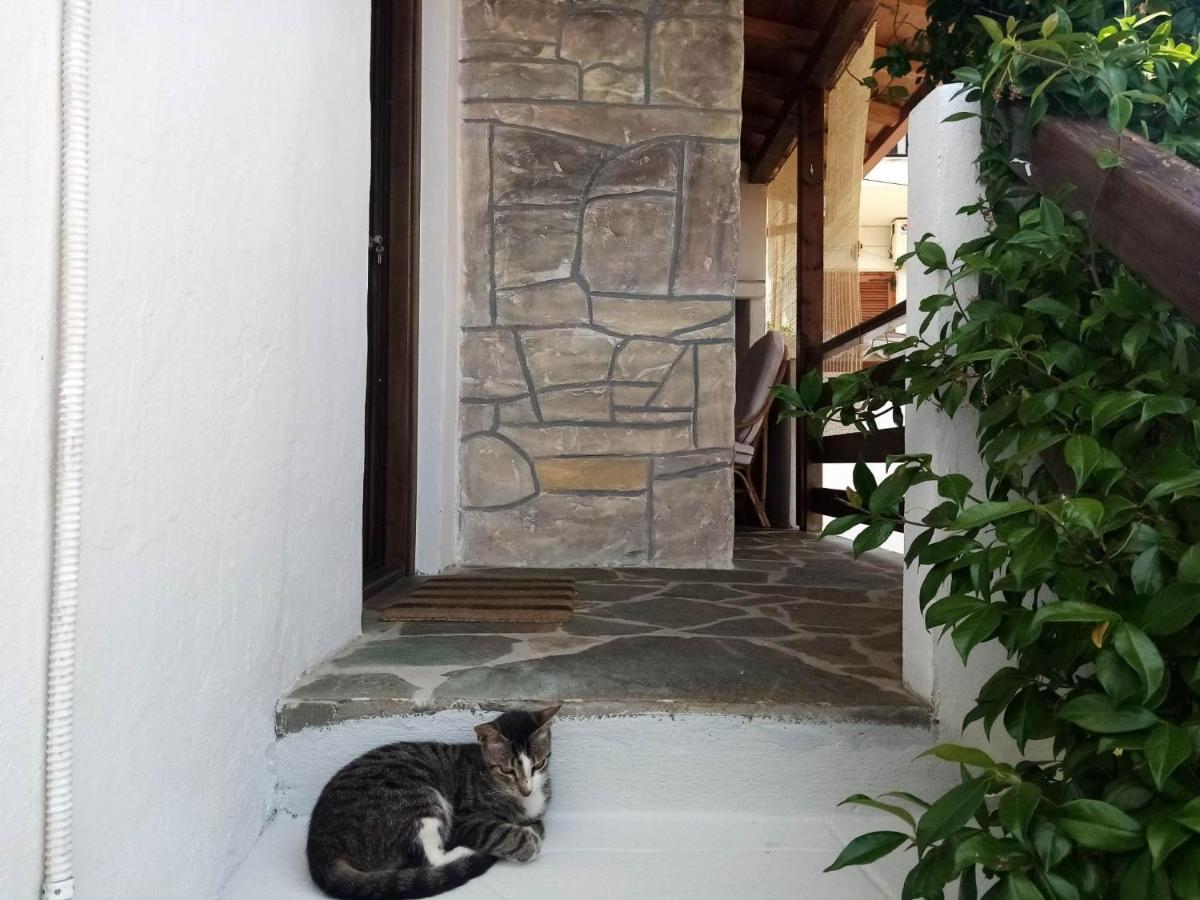 Petrino1880 Sea-Vacation Apartment In Chalkidiki อาโยส นิโกลาออส ภายนอก รูปภาพ